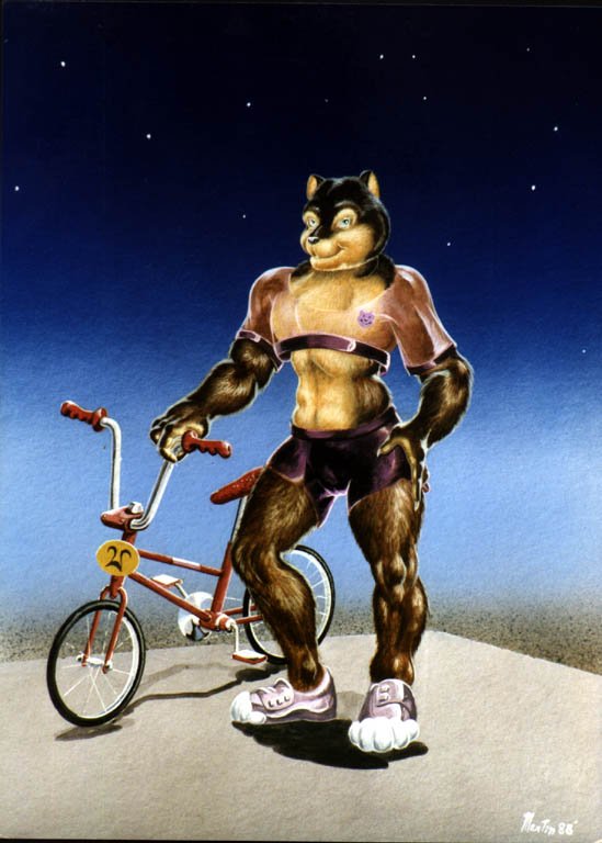 Bikin'Bear by Steve Martin, Finished