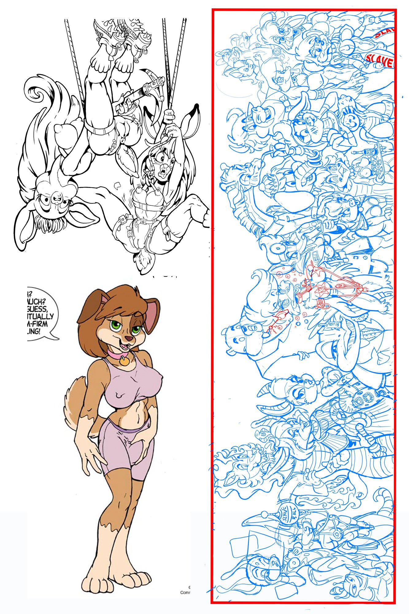 Bunny Booobs by Steve Martin, Finished