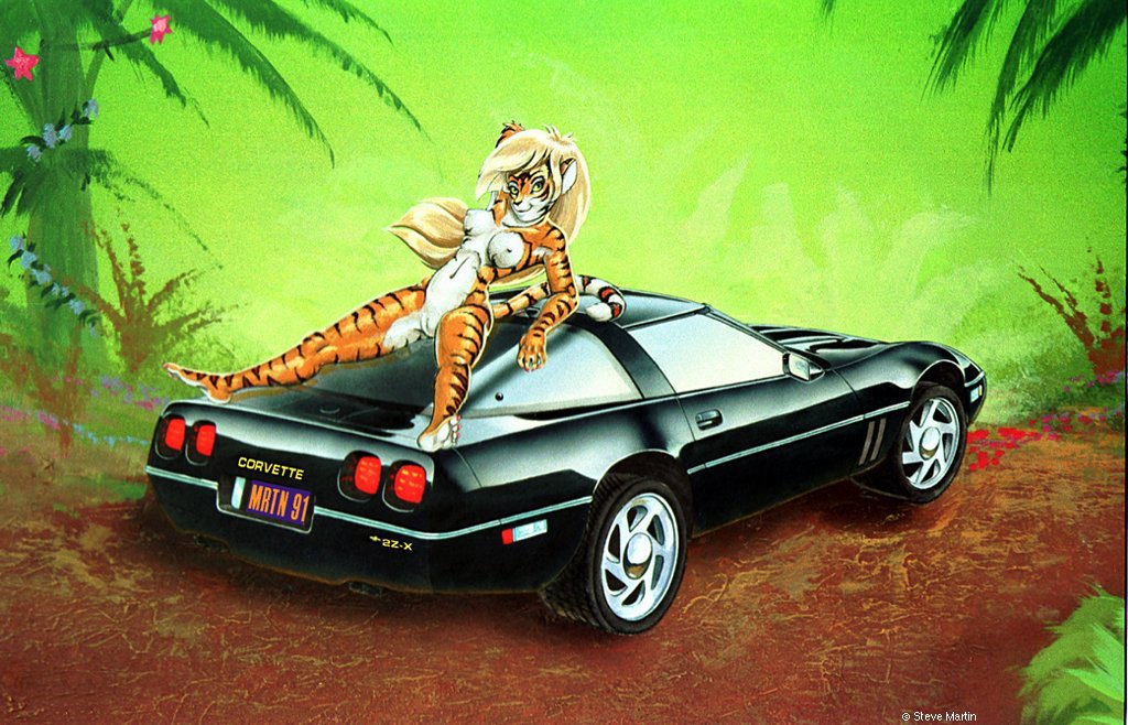 Corvette Kitty by Steve Martin, Finished