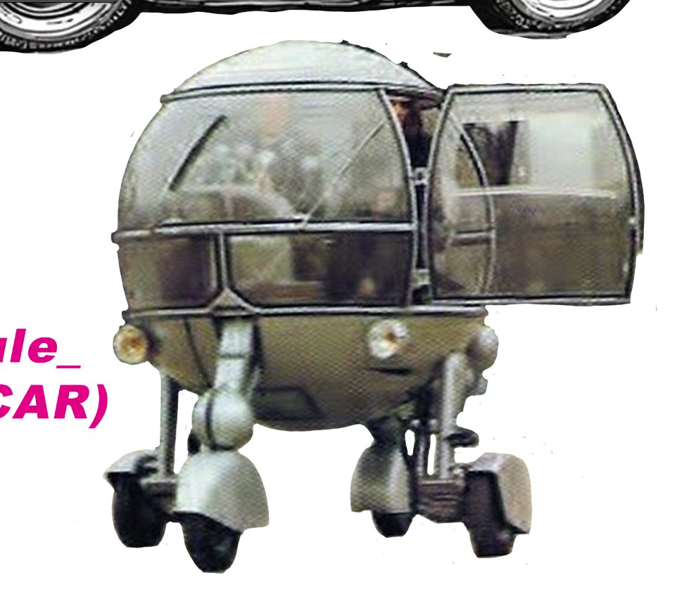 Pussycar by Steve Martin, Finished