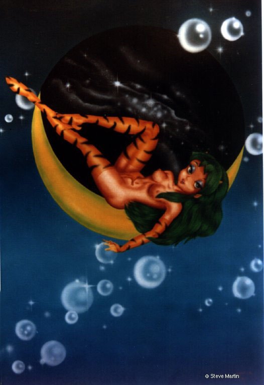 Sitting On The Moon by Steve Martin, Finished